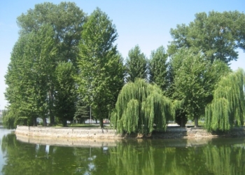 Тернополянам показали дуже файні та рідкісні знимки міста