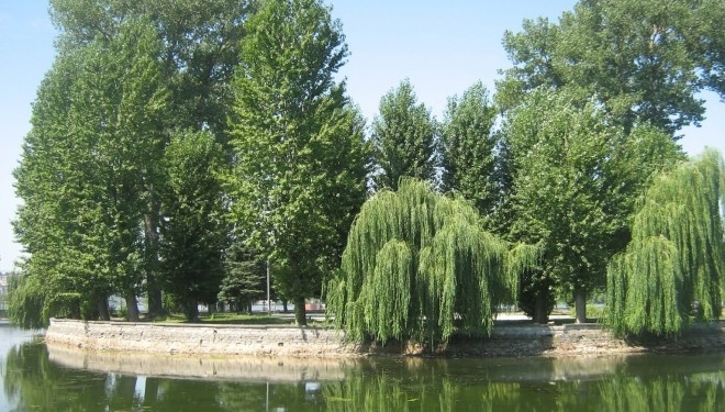 Тернополянам показали дуже файні та рідкісні знимки міста