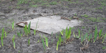 Тернополянам розкрили секрет, де знаходиться вхід у підземелля (фото)