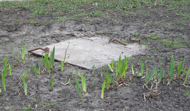 Тернополянам розкрили секрет, де знаходиться вхід у підземелля (фото)