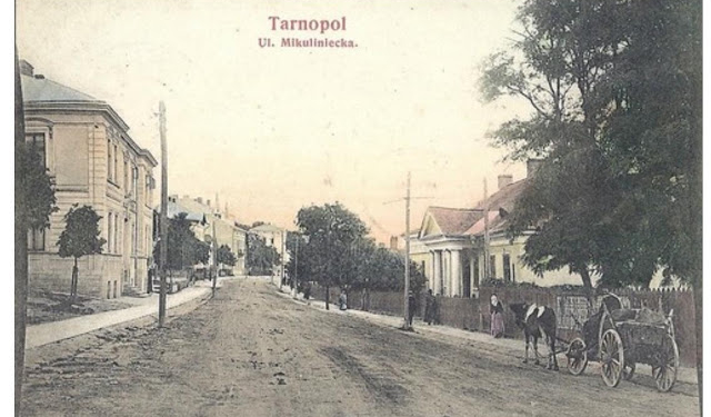 Неймовірна історія однієї вулиці Тернополя (фото)