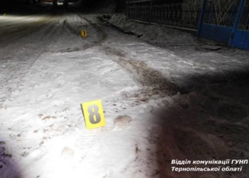 ДТП на Тернопільщині: неповнолітній хлопець переїхав юнака