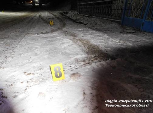 ДТП на Тернопільщині: неповнолітній хлопець переїхав юнака