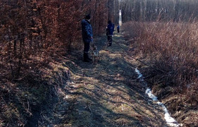 Трагедія:  на Тернопільщині знайшли тіло 85-річної бабусі, яку шукали декілька тижнів