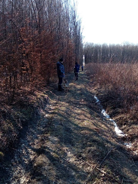 Трагедія: на Тернопільщині знайшли тіло 85-річної бабусі, яку шукали декілька тижнів