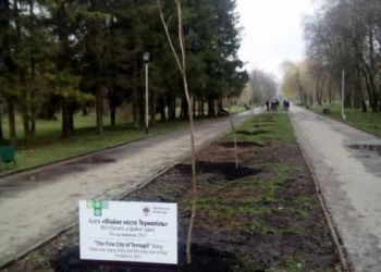 У рамках толоки в парку “Топільче” висадили 10 катальп (ФОТО)