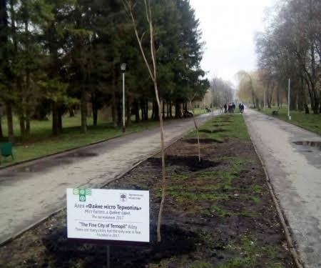 У рамках толоки в парку “Топільче” висадили 10 катальп (ФОТО)