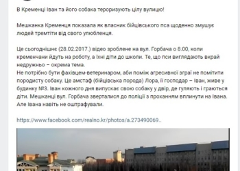 Жахіття: власник бійцівського пса з Тернопільщини тероризує все місто (відео)