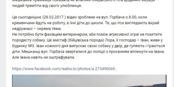 Жахіття: власник бійцівського пса з Тернопільщини тероризує все місто (відео)