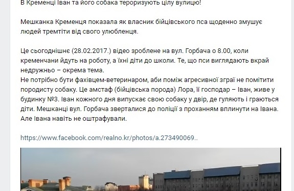 Жахіття: власник бійцівського пса з Тернопільщини тероризує все місто (відео)