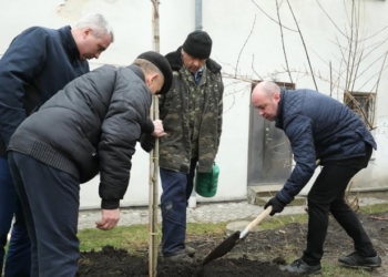 Понад дві тисячі тернополян вийшли на першу міську толоку (ФОТО)
