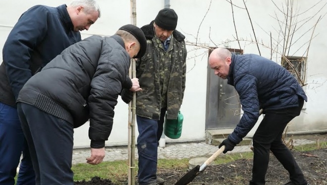 Понад дві тисячі тернополян вийшли на першу міську толоку (ФОТО)