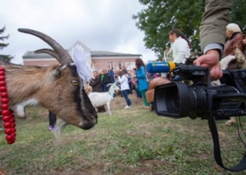 Унікальний для України фестиваль «КозаФест», який відбувається на Тернопільщині, оголошує конкурс