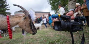 Унікальний для України фестиваль «КозаФест», який відбувається на Тернопільщині, оголошує конкурс