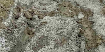 Бездоріжжя та ями на півметра: гість був шокований дорогами Тернопільщини (фото)