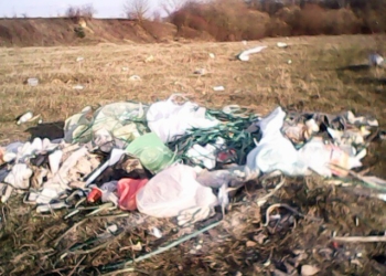 Не будьте покидьками! На Тернопільщині біля райцентру викинули цілу машину сміття (фото)