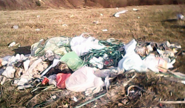 Не будьте покидьками! На Тернопільщині біля райцентру викинули цілу машину сміття (фото)