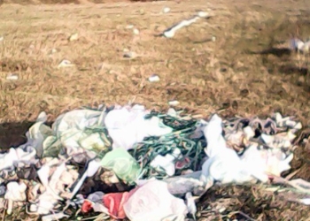 Не будьте покидьками! На Тернопільщині біля райцентру викинули цілу машину сміття (фото)