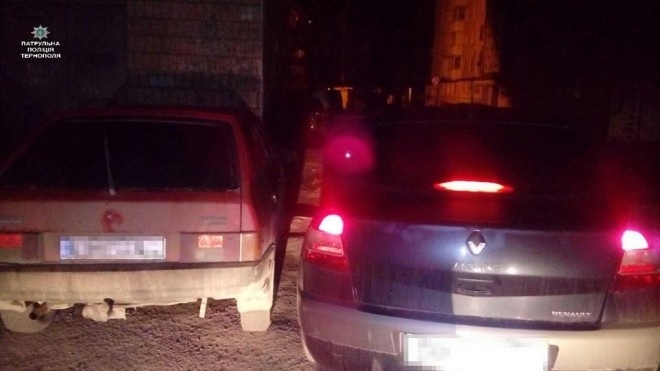 П’яні чоловіки, які були в автомобілі, що потрапив у ДТП, лишили його посеред дороги і кинулися навтьоки