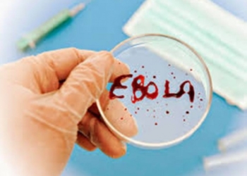 Чим небезпечний вірус Ебола