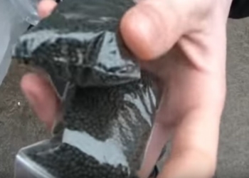 Дешева небезпека: на тернопільському базарі узбек продавав школярам наркотики (відео)