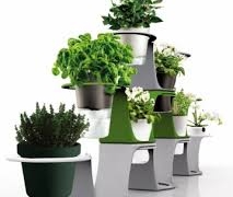 Вся правда про домашні вазони і які рослини допоможуть врятуватися від отруйних речовин