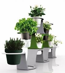 Вся правда про домашні вазони і які рослини допоможуть врятуватися від отруйних речовин