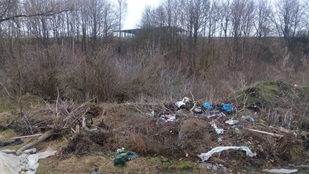 На Тернопільщині люди прибрали стихійне сміттєзвалища біля кладовища
