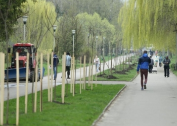 У парку “Топільче” посадили 60 катальп (ФОТО)