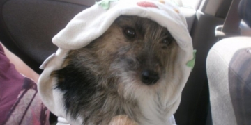 Тернополян просять допомогти ще одній крихітці