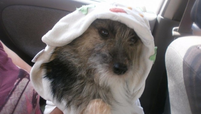 Тернополян просять допомогти ще одній крихітці