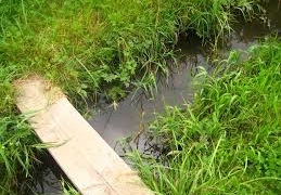 Пенсіонерку, яку розшукували, знайшли мертвою у потічку води