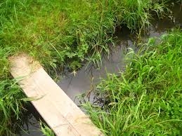 Пенсіонерку, яку розшукували, знайшли мертвою у потічку води