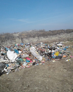 Сміття Садового знову знайшли на Тернопільщині (фото)