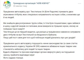 У Тернополі знайшли два пошматованих трупи собак: так “забавляються” декілька “виродків”