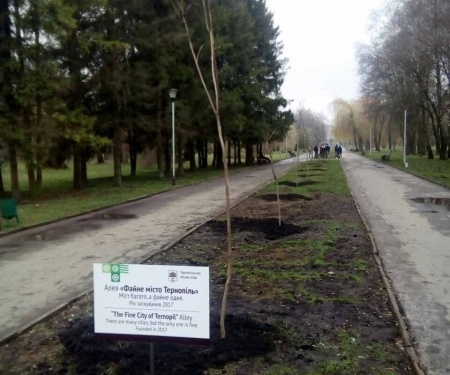 У тернопільському парку з’явиться ще 60 декоративних дерев