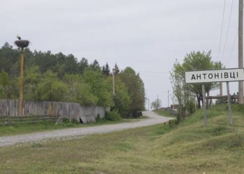 У лісі заблукала 19-річна дівчина