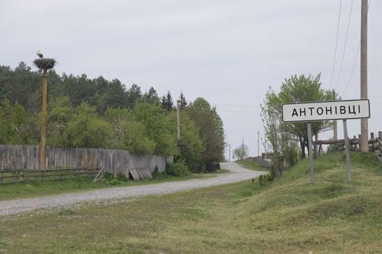 У лісі заблукала 19-річна дівчина