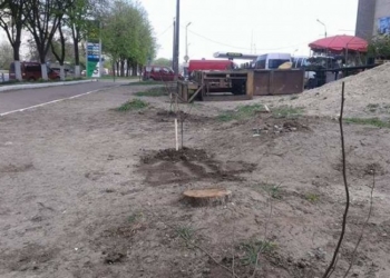Тернопільські активісти почали “воювати з торгашами”: у хід пішли дерева