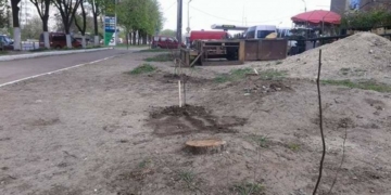 Тернопільські активісти почали “воювати з торгашами”: у хід пішли дерева