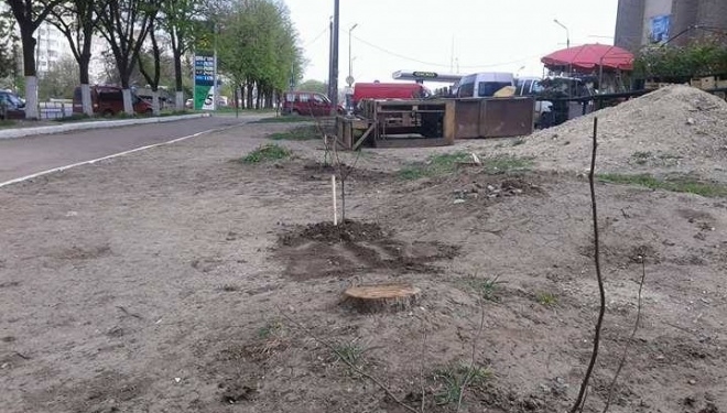 Тернопільські активісти почали “воювати з торгашами”: у хід пішли дерева
