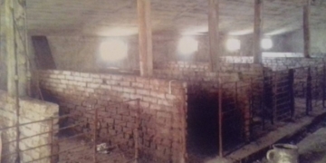 Тернополянка орендував ферму, щоб перетримувати безпритульних тварин