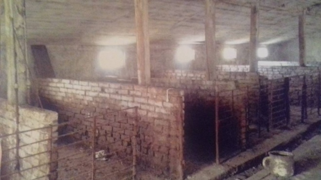 Тернополянка орендував ферму, щоб перетримувати безпритульних тварин