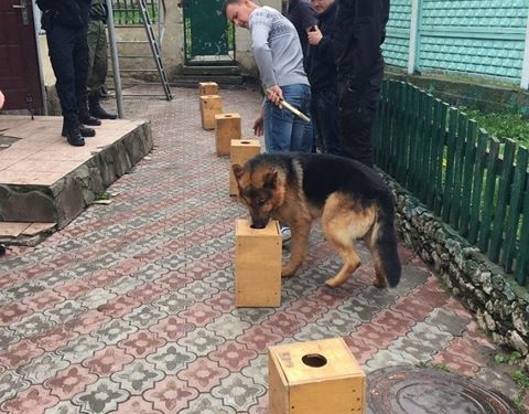 Тернопільські поліцейські готують собі на службу… собак