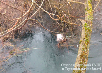 Моторошні вбивства: що загрожує чоловіку, який розчленував свою дружину та вбив її сина (ФОТО)