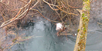 Моторошні вбивства: що загрожує чоловіку, який розчленував свою дружину та вбив її сина (ФОТО)