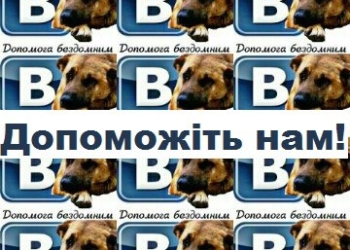 Відома волонтерська організації “Ноїв ковчег” у Тернополі переживає не найкращі часи