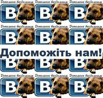 Відома волонтерська організації “Ноїв ковчег” у Тернополі переживає не найкращі часи