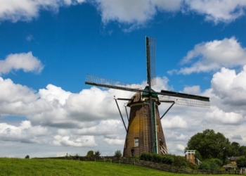 На Тернопільщині пограбували млин