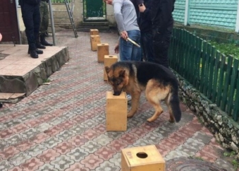 У Тернополі з’явиться кінологічний патруль